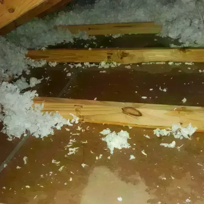 Attic Water Damage in San Dimas, CA