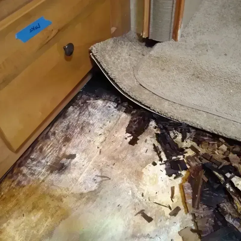 Best Wood Floor Water Damage Service in San Dimas, CA